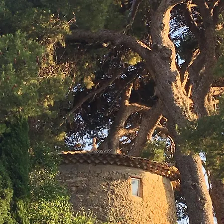 Le Moulin فيلة *